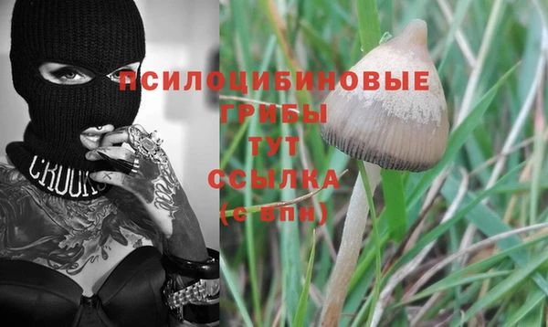 каннабис Гусиноозёрск