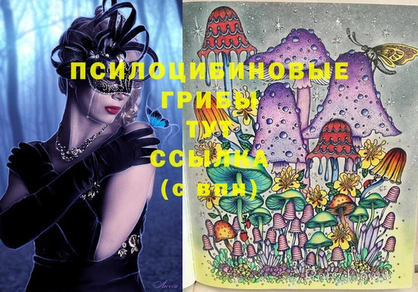 MDMA Гусь-Хрустальный