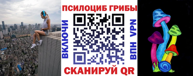 Псилоцибиновые грибы Cubensis  Купить где  Орск 
