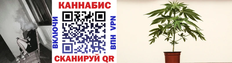 Купить где  Орск  Бошки марихуана VHQ 